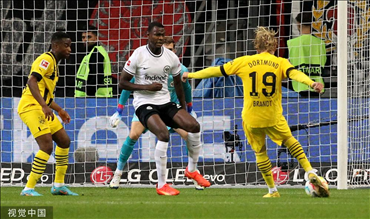 勒沃库森成为德甲焦点，连8场胜利引发球迷狂热