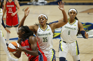 WNBA历届总冠军：勇气与激情的传承